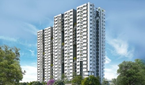 codename-life-is-green-banner