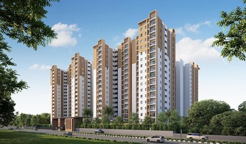 habulus-tranquil-banner