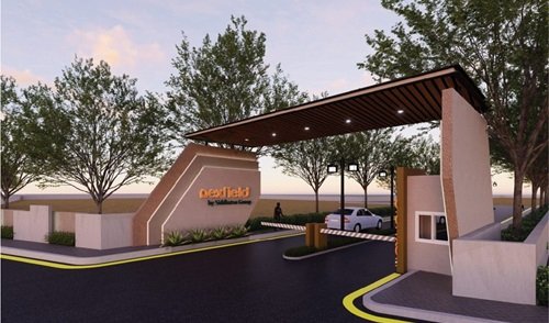 siddhatva-nexfield-banner