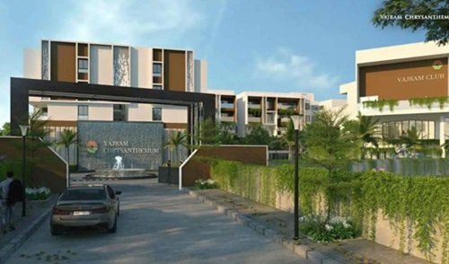 vajram-chrysanthemum-banner