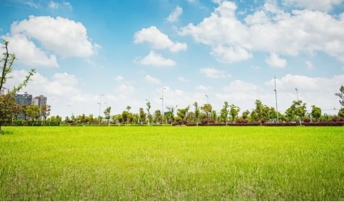 whispering-greens-by-earthern-projects-banner