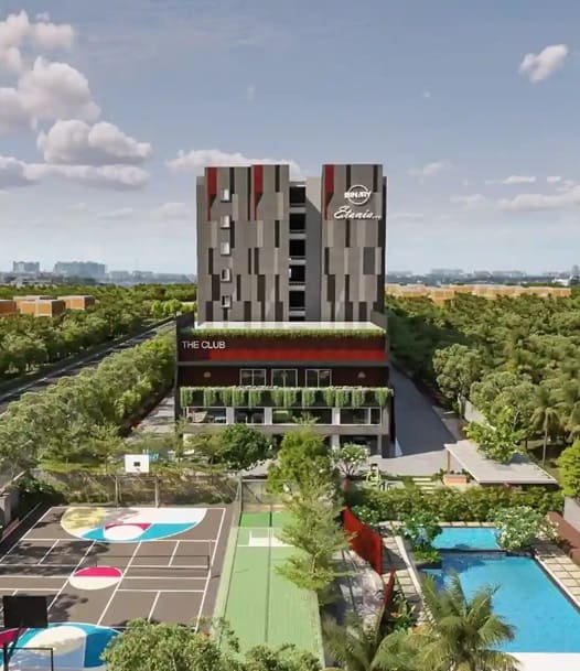 overview image Binary Etania