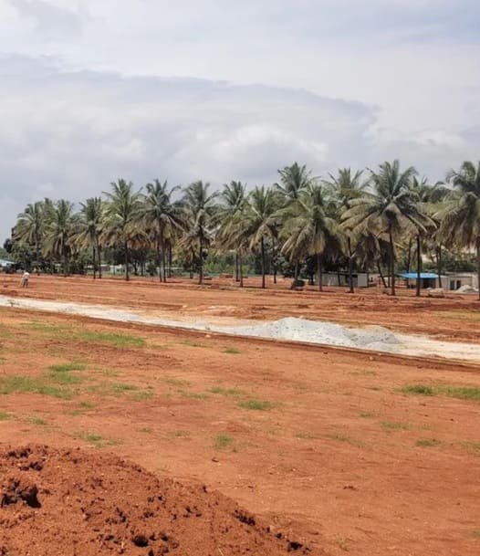 overview image DR Manidvipa