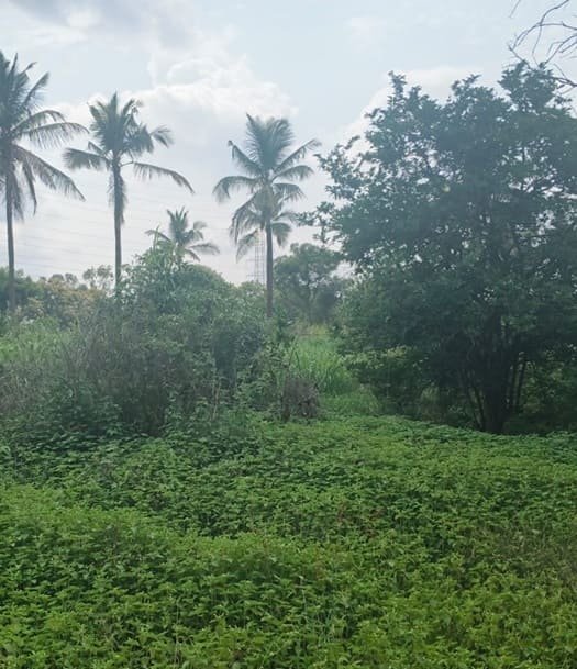 overview image Fortius Good Earth