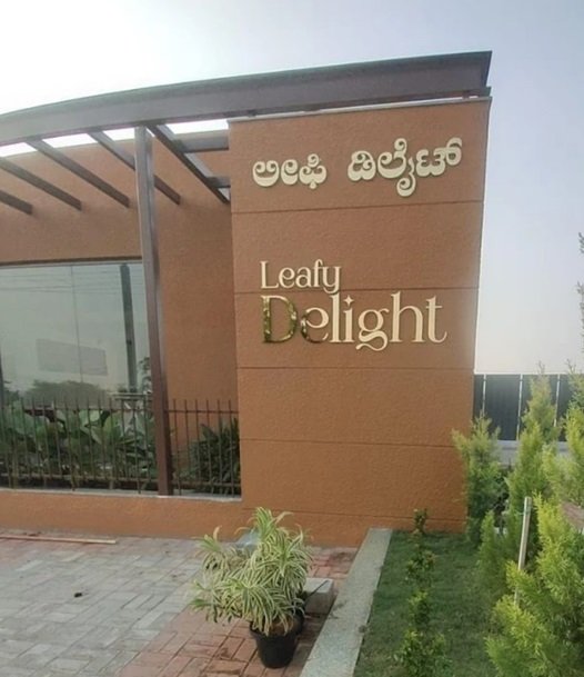 overview image Leafy Delight