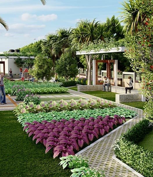 overview image Merusri Serenova