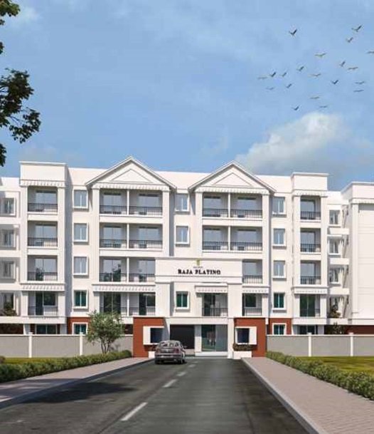 overview image Raja Platino