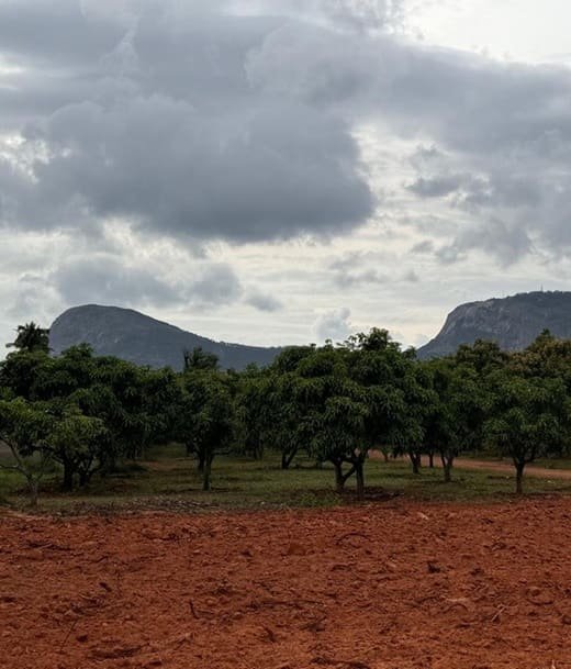 overview image Shreyas Natures Sign