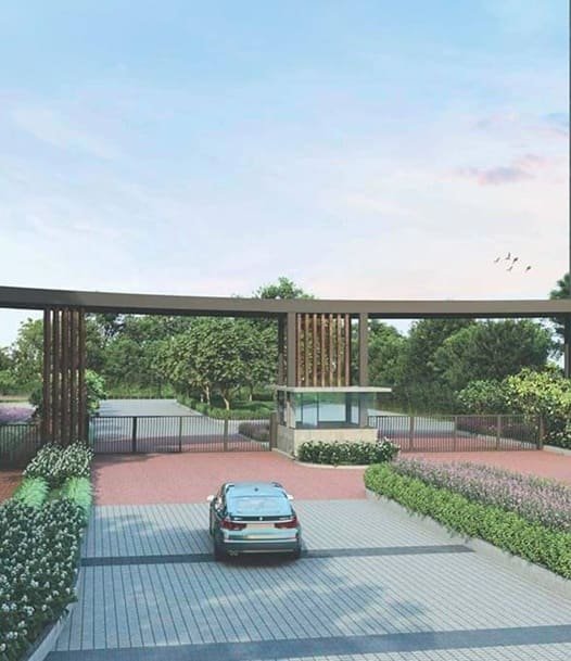 overview image Summers at Orchid Nirvana